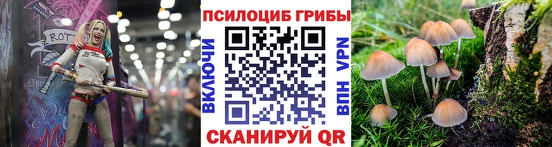 Купить  Большой Камень  Псилоцибиновые грибы Psilocybine cubensis 